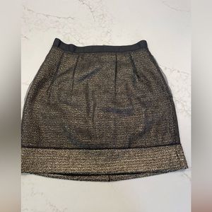 Ann Taylor Loft Skirt